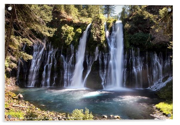 McArthur-Burney Falls Memorial State Park Acrylic by Chris Frost