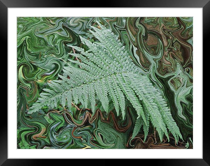 Forest Floor Framed Mounted Print by Julie Richmond