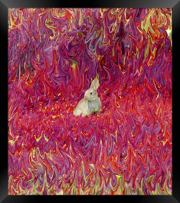 Forest Fire Framed Print by Julie Richmond