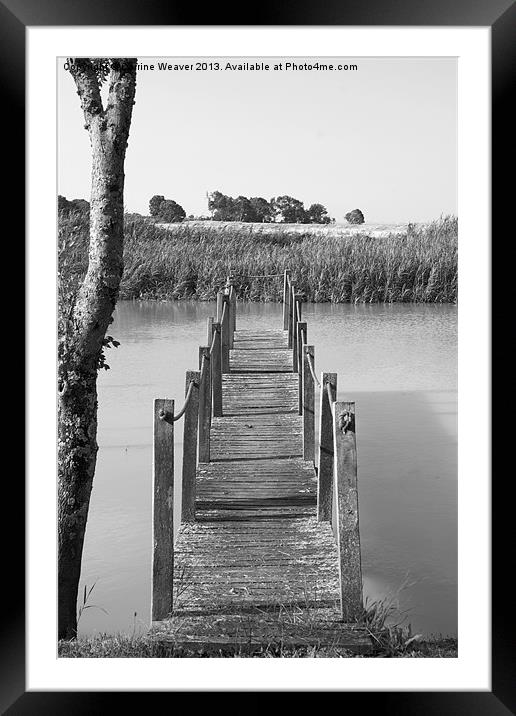 From one tree to another Framed Mounted Print by Corrine Weaver