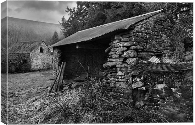 Old Horse House Canvas Print by lee wilce