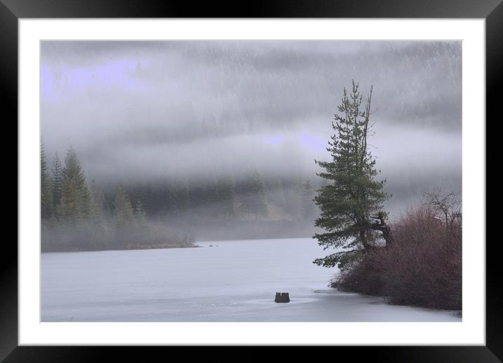 Lonely on the Lake Framed Mounted Print by Shara Burrows