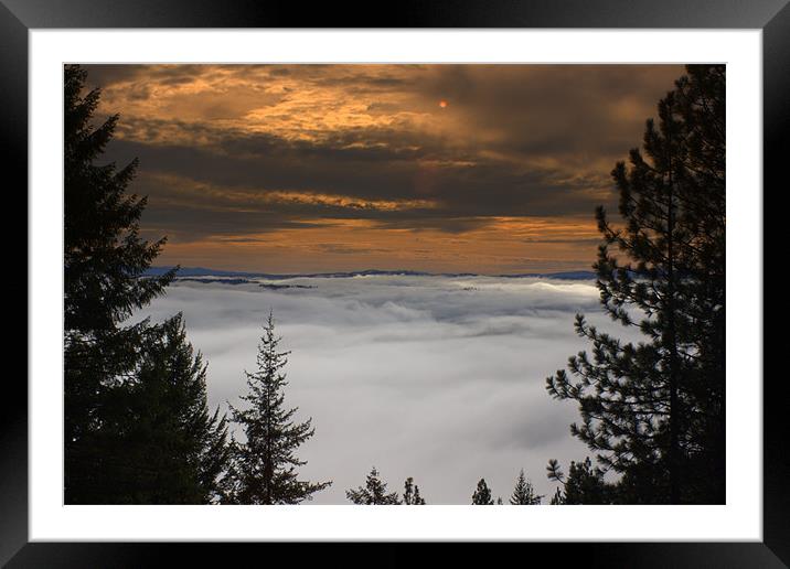 Fog and Sunshine Framed Mounted Print by Shara Burrows