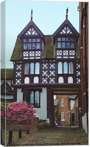 Shrewsbury Streetscape Canvas Print by Carole-Anne Fooks