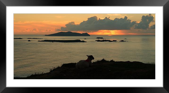 Sunset Blasket Islands Framed Mounted Print by barbara walsh