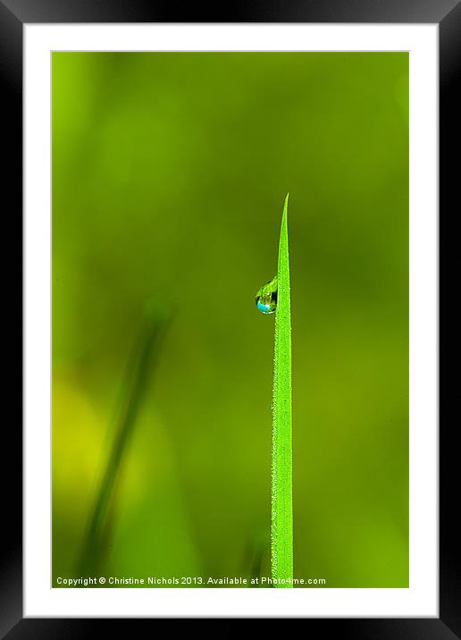 Blade of grass with dew drop Framed Mounted Print by Christine Kerioak