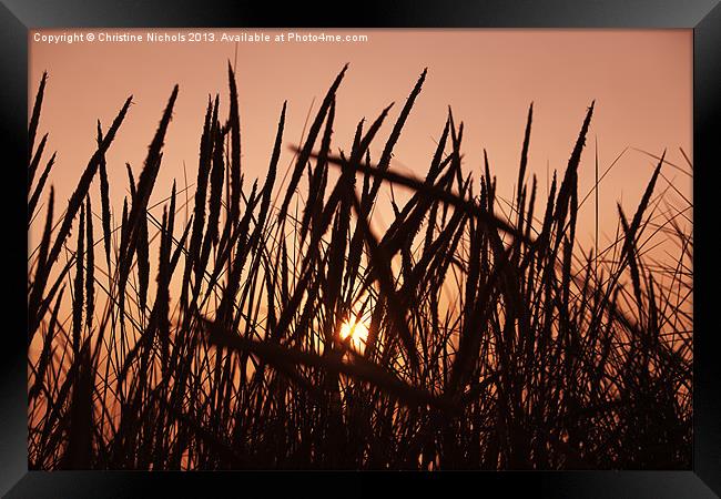 Low Sun behind Marram Grass Framed Print by Christine Kerioak