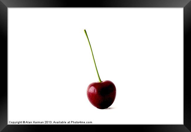 One Sweet Cherry Framed Print by Alan Harman
