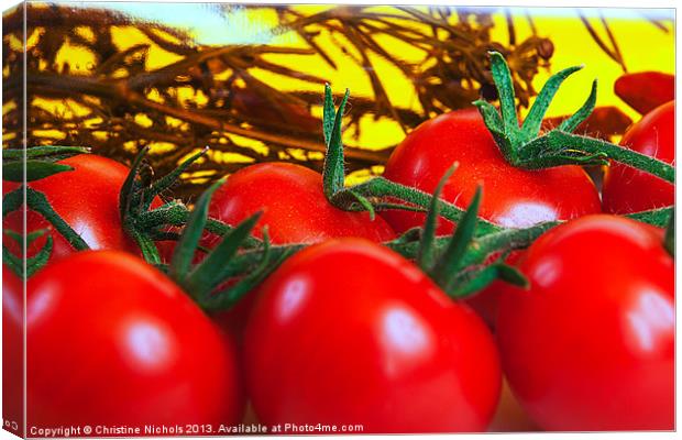 Tomatoes on the Vine Canvas Print by Christine Kerioak
