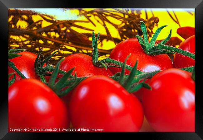 Tomatoes on the Vine Framed Print by Christine Kerioak