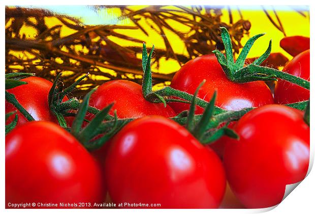 Tomatoes on the Vine Print by Christine Kerioak
