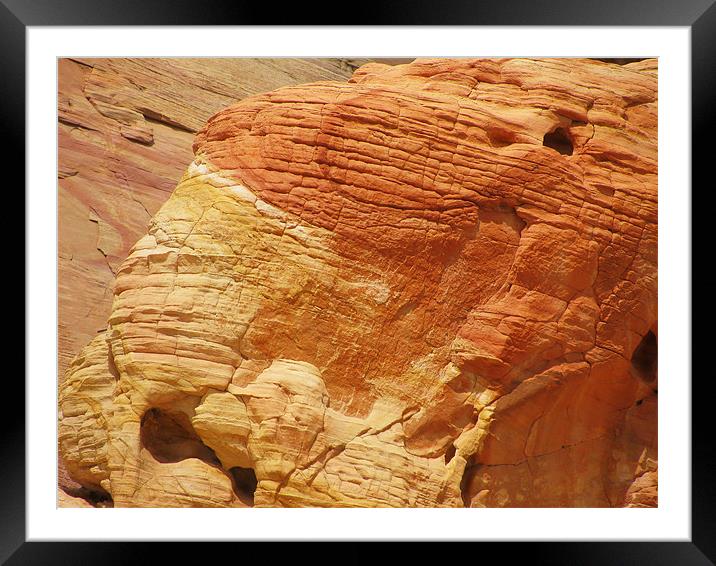 Valley of Fire Framed Mounted Print by Mary Lane