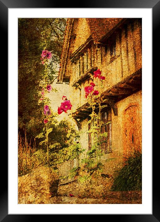 Hollyhock cottage Framed Mounted Print by Dawn Cox