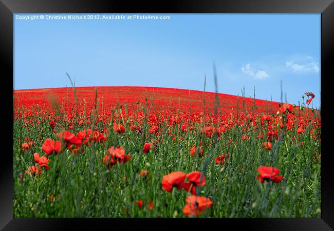 Hill of Poppies Framed Print by Christine Kerioak