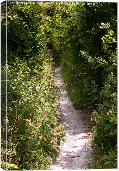 Green lined path Canvas Print by Christine Kerioak