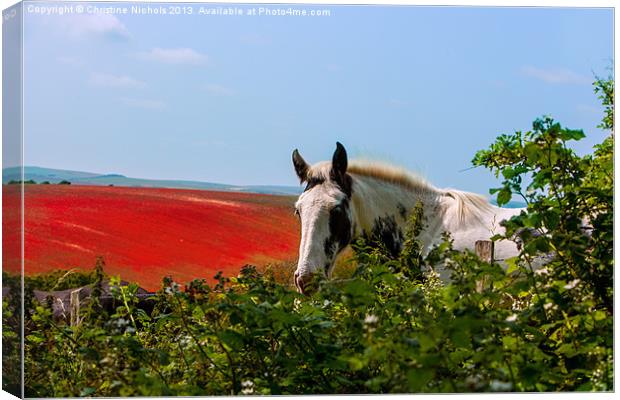 Horse looking over hedge Canvas Print by Christine Kerioak