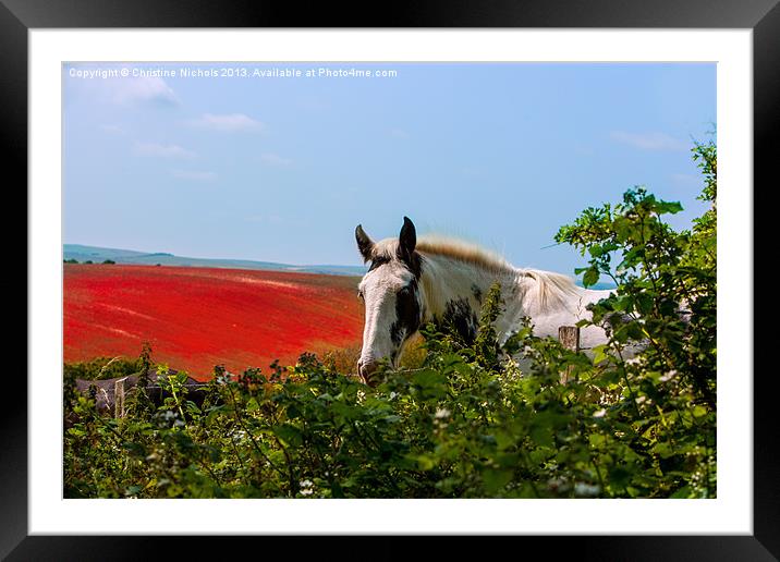 Horse looking over hedge Framed Mounted Print by Christine Kerioak