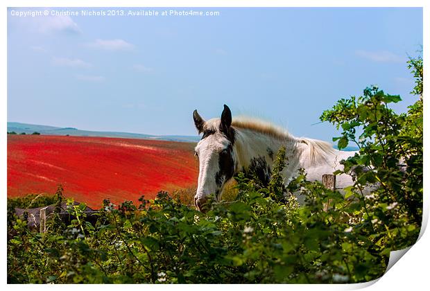 Horse looking over hedge Print by Christine Kerioak