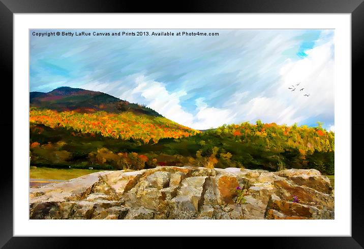 Adirondack Autumn Framed Mounted Print by Betty LaRue