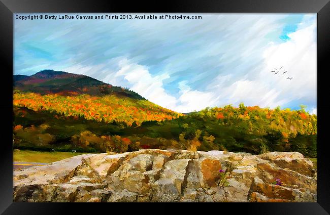 Adirondack Autumn Framed Print by Betty LaRue