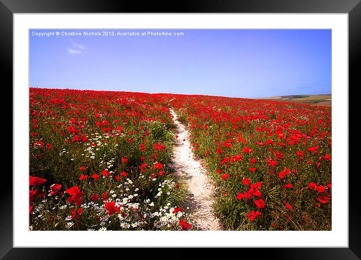 Path Through Poppies Framed Mounted Print by Christine Kerioak
