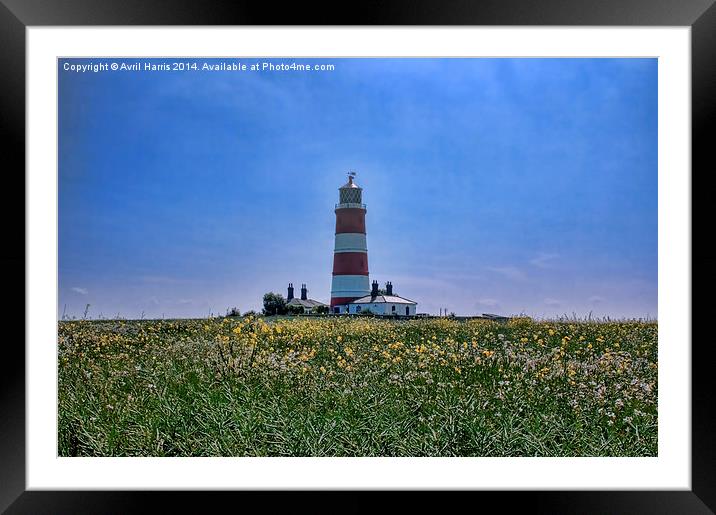 Happisburgh Lighthouse Framed Mounted Print by Avril Harris