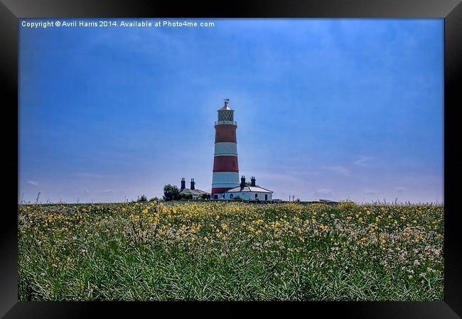 Happisburgh Lighthouse Framed Print by Avril Harris
