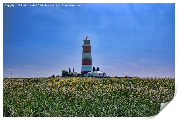 Happisburgh Lighthouse Print by Avril Harris