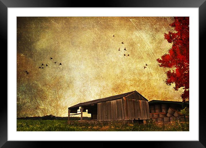 Old Barn. Framed Mounted Print by Dawn Cox