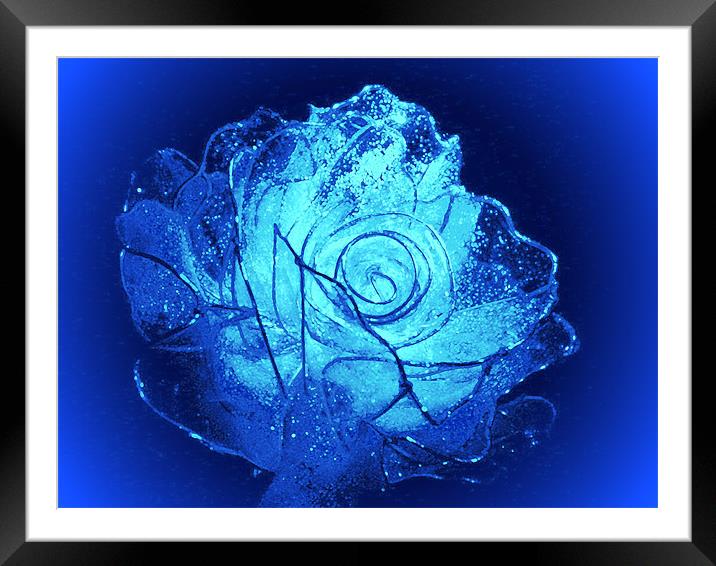 Blue Crystal Rose R 2D Framed Mounted Print by Ferenc Kalmar