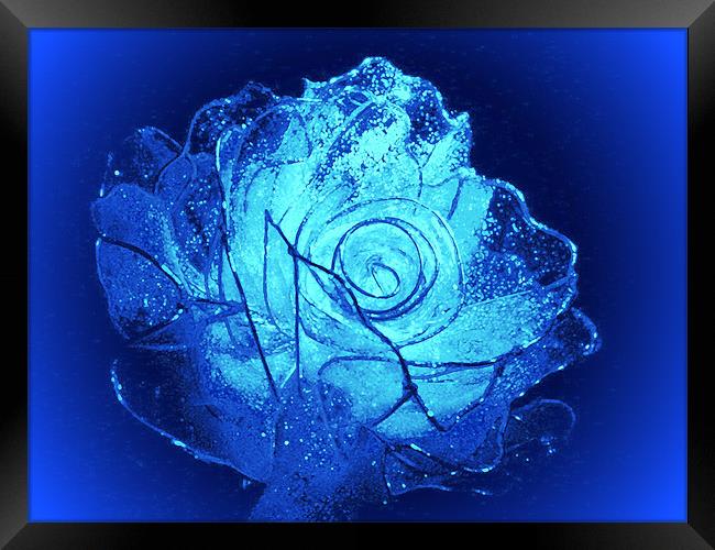 Blue Crystal Rose R 2D Framed Print by Ferenc Kalmar