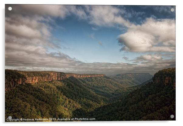 Blue Mountains Acrylic by Andreas Hartmann