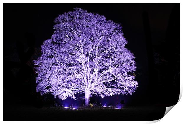 Tree at Night Print by Simon Cadby