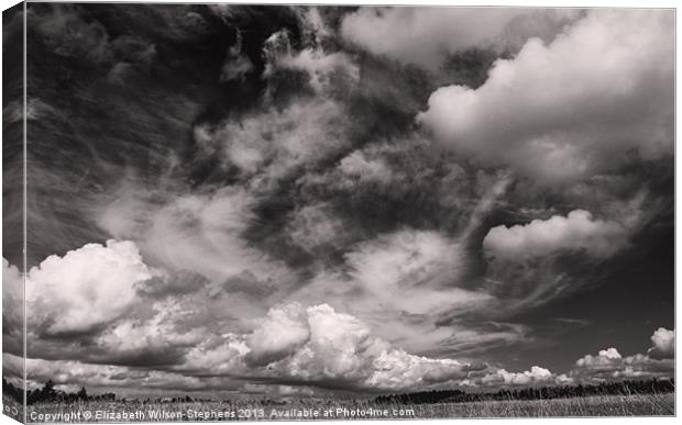 Clouds #2 Canvas Print by Elizabeth Wilson-Stephen
