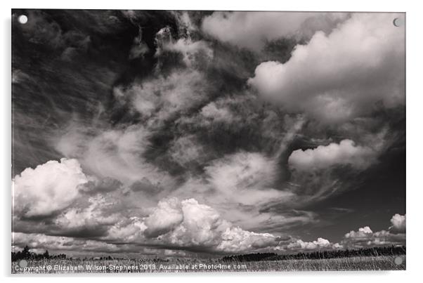 Clouds #2 Acrylic by Elizabeth Wilson-Stephen