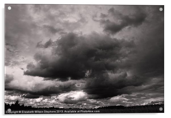 Clouds #3 Acrylic by Elizabeth Wilson-Stephen