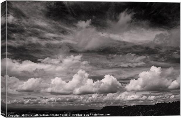 Clouds #4 Canvas Print by Elizabeth Wilson-Stephen