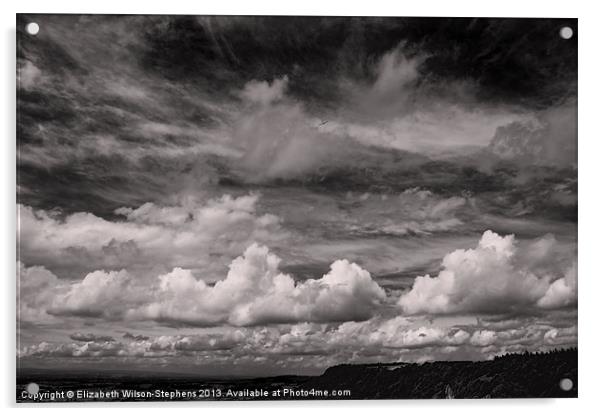 Clouds #4 Acrylic by Elizabeth Wilson-Stephen