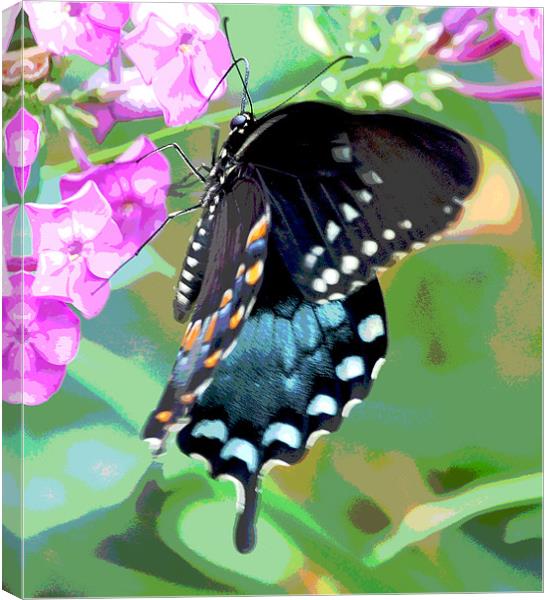 Colorful Butterfly Canvas Print by james balzano, jr.