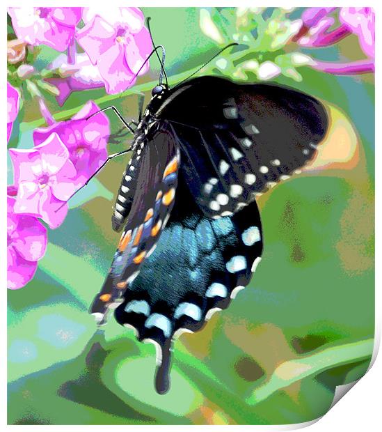Colorful Butterfly Print by james balzano, jr.