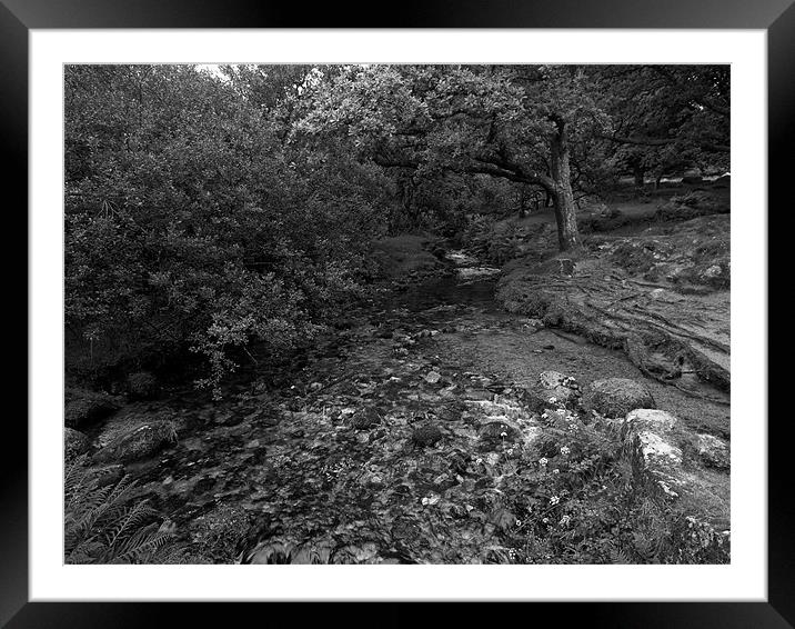 Meavy River in Mono Framed Mounted Print by Jay Lethbridge