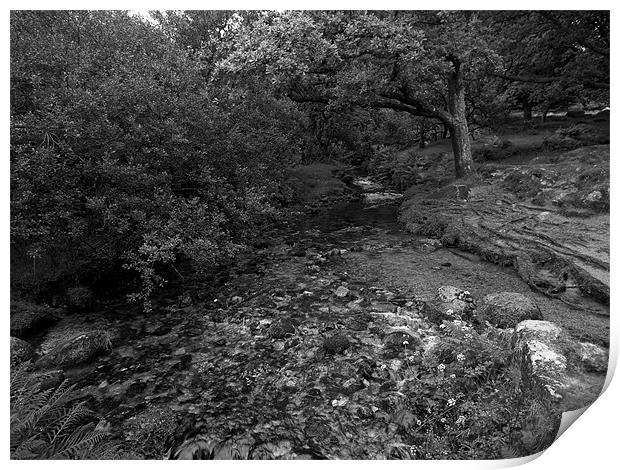 Meavy River in Mono Print by Jay Lethbridge