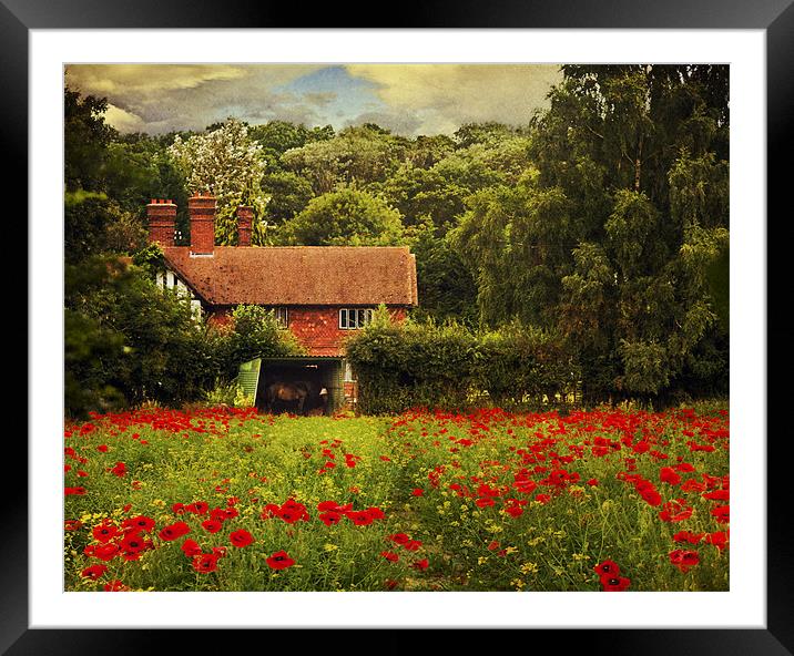 The Retreat Framed Mounted Print by Dawn Cox