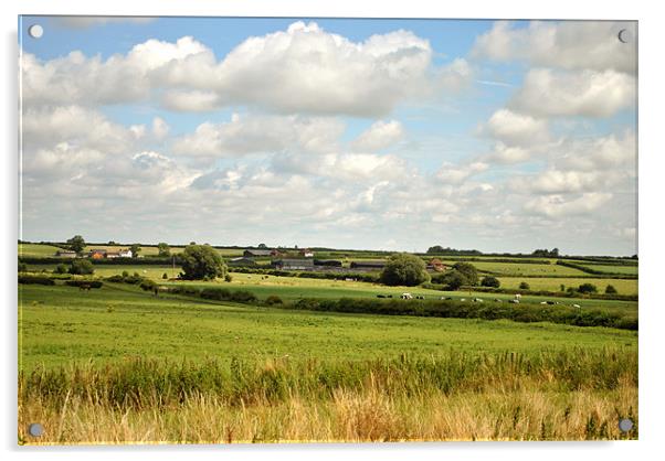 A Leicestershire Farm Acrylic by graham young