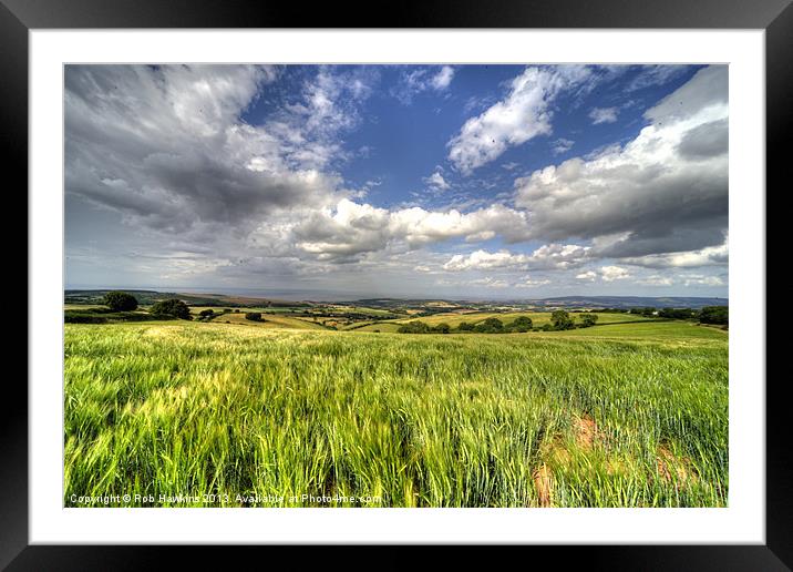 Barley View Framed Mounted Print by Rob Hawkins