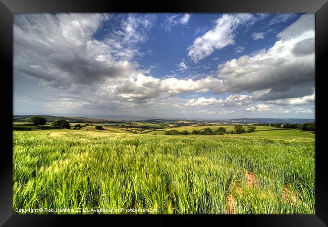 Barley View Framed Print by Rob Hawkins