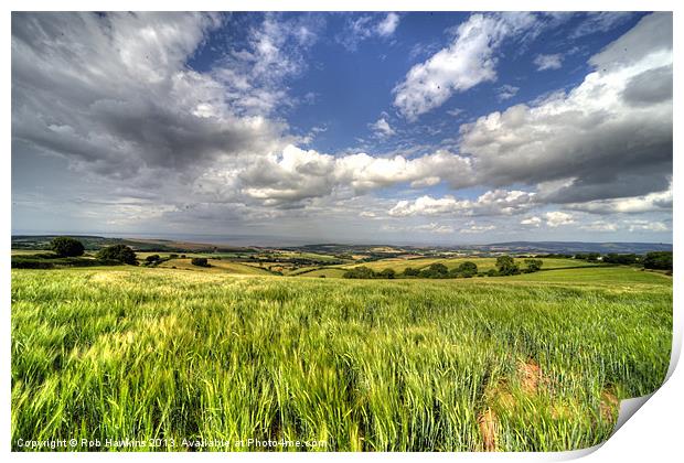 Barley View Print by Rob Hawkins