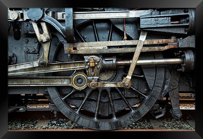 Mechanical links Framed Print by Rory Trappe