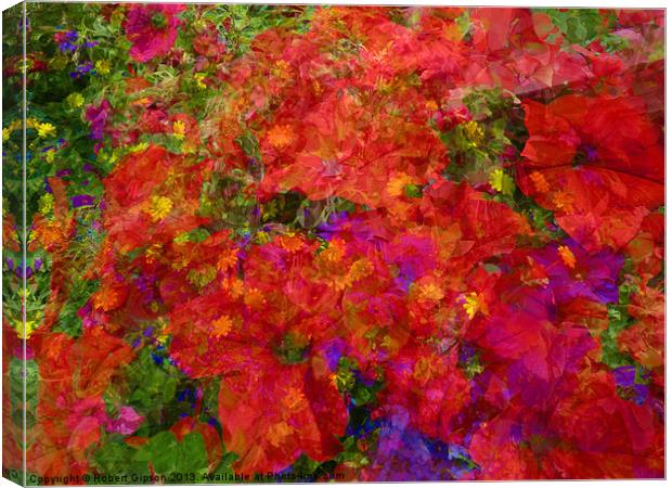 Flower blend Canvas Print by Robert Gipson