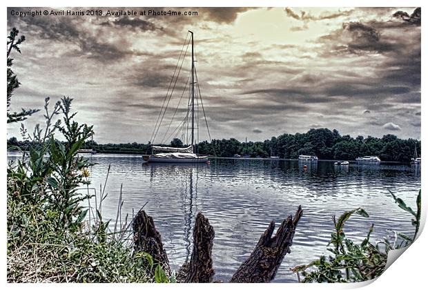 Yacht on Wroxham Broad. Print by Avril Harris